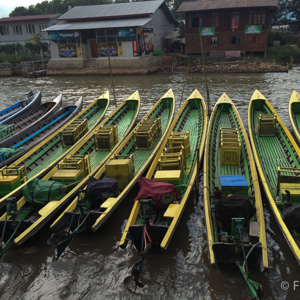 Ready for a boat tour? Pick the colour you like!