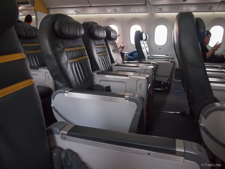 ScootBiz Boeing 787's seat configuration is 2-3-3.