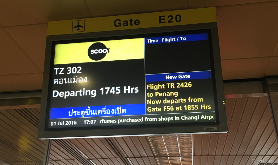 Flyscoot Menu FlyScoot: Singapore Bangkok ScootBiz Flight Experience → Roaming Alpaca