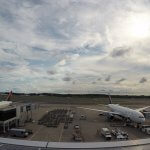 ANA NRT SIN Economy Review