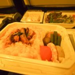 ANA NRT SIN Economy Review