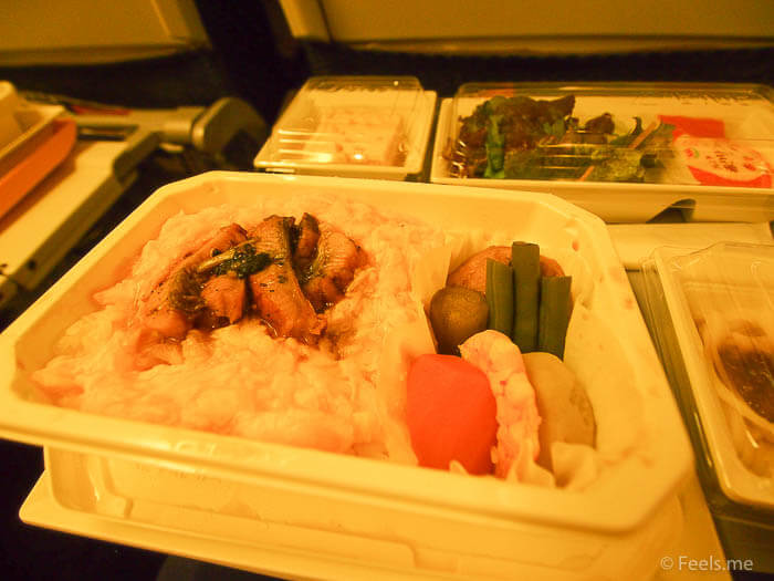 ANA NRT SIN Economy Review