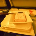 ANA NRT SIN Economy Review