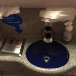 ANA NRT SIN Economy Review