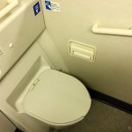 ANA: SIN NRT Premium Ecnonomy Lavatory in Economy Class