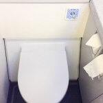 Jetstar 3K 533 Budget Airline Lavatory