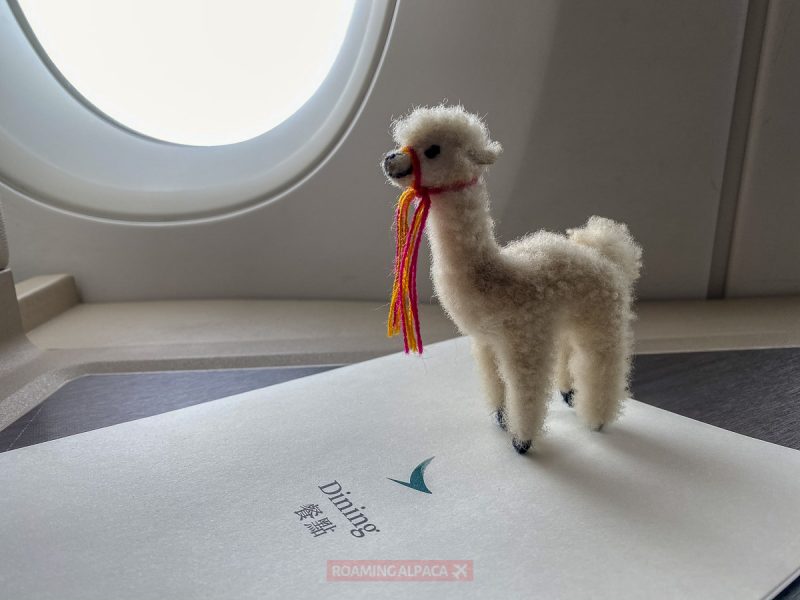 Cathay Pacific SIN HKG CX692 Business Vegetarian