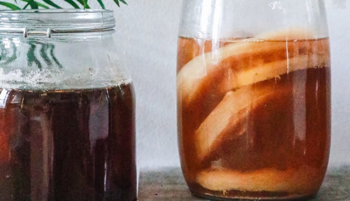 Very Soothing Carbonated Kombucha Appreciation Video